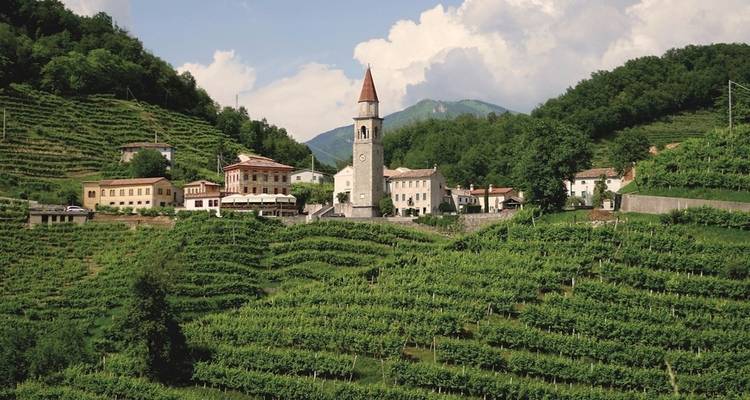 Schilderachtig wijngaardgebied met een centrale kerktoren.