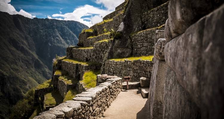 Terrasses de pierre du Machu Picchu sur un arrière-plan montagneux.