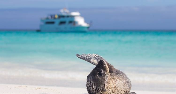 Andes & Galapagos (Multi country) - LimaTours 5