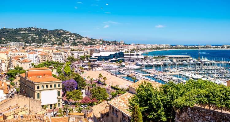 La Côte d'Azur - Wingbuddy 8