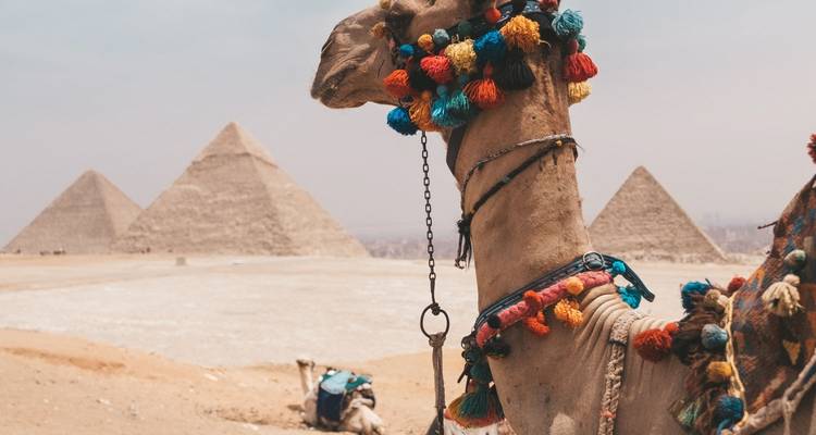 "TUT Honey Moon Tour" 8 jours au départ du Caire - Le Caire, Louxor, croisière sur le Nil, Assouan, Abou Simbel, montgolfière et plus.... - Egyptology Travel 1