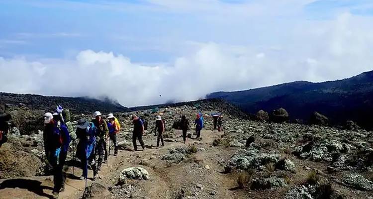 Randonneurs marchant sur un sentier du mont Kilimandjaro.