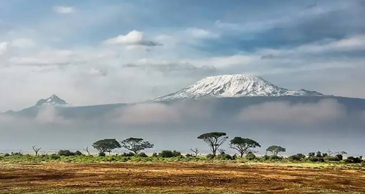 Vue panoramique du mont Kilimandjaro et du paysage environnant.