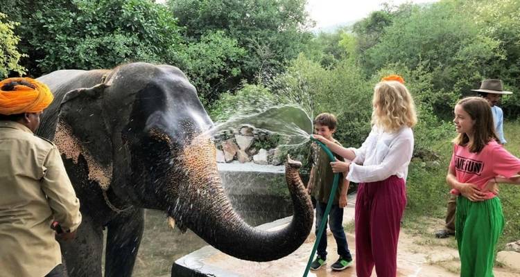 Increíble India de lujo - Amazing India Tours 4