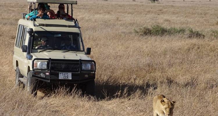 3 days Group joining safari to Maasai Mara using a Land Cruiser Jeep - Perfect Safari Africa tours and safaris 3