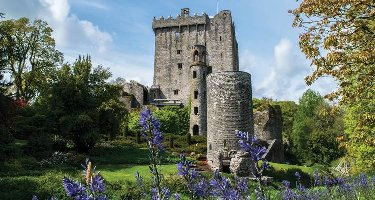 Un château de pierre historique entouré de verdure.