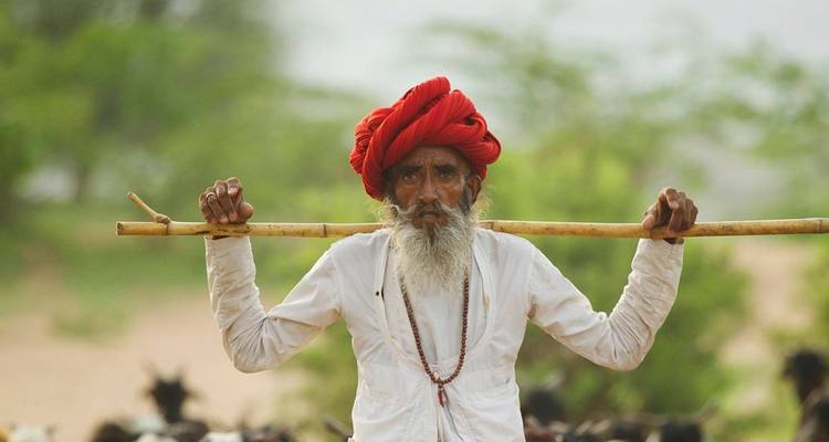 India Holi Festival with Rajasthan Luxury  2026 - Amazing India Tours 8