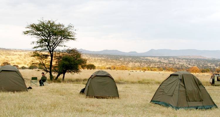 Tentes de camping dans un champ ouvert avec des arbres et des collines.
