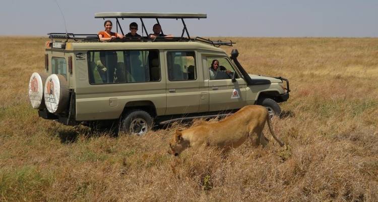 Safari en petit groupe dans le Masai Mara - 3 jours (avec Land Cruiser JEEP) - Perfect Wilderness Tours And Safaris 10