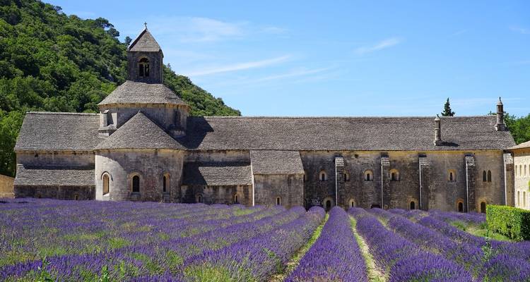 Paris City of Love & Avignon-Provence - 7 Days (Small Group) - Click Tours 2