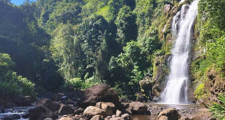Experience The Majestic Beauty of Marangu Waterfalls with Our Unforgettable Day Trip Tour. - Africa Natural Tours 1