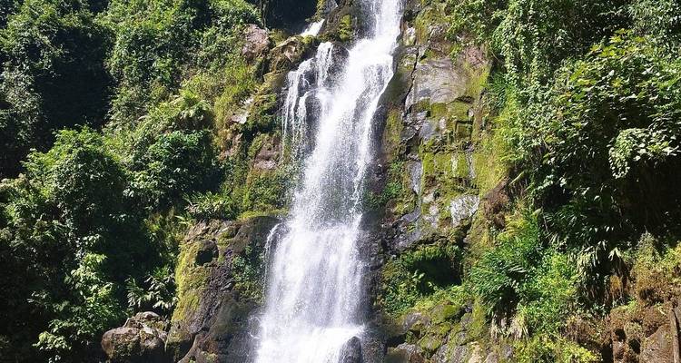 Experience The Majestic Beauty of Marangu Waterfalls with Our Unforgettable Day Trip Tour. - Africa Natural Tours 2