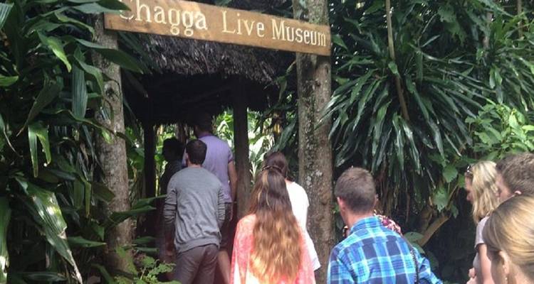 Experience The Majestic Beauty of Marangu Waterfalls with Our Unforgettable Day Trip Tour. - Africa Natural Tours 4