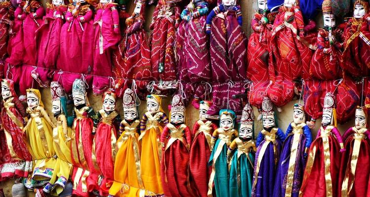 Circuit du triangle d'or de l'Inde avec tigres et lions asiatiques - Amazing India Tours 6