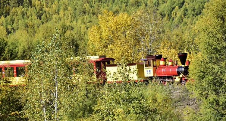 Bunter Zug, der durch eine üppige Waldlandschaft fährt.