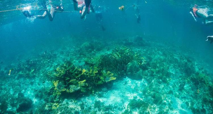 Vacances pour célibataires à Cancun Fiesta on the Beach All Inclusive - Best Single Travel 4