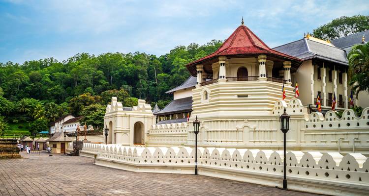 Crucero Sri Lanka con Maldivas: jardines de especias y playas - G Adventures 6