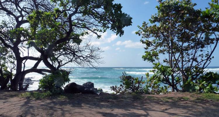 Aventure hawaïenne : La plage et la planche - G Adventures 4