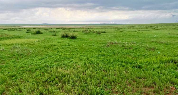 Circuit de 6 jours en Mongolie intérieure : Prairie, désert, Ordos, Baotou, Hohhot - Silk Road Trips 3