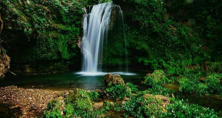 Una cascada impresionante rodeada de exuberante follaje verde.