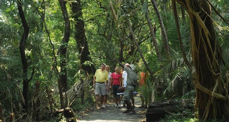 Victoria Falls et; Chobe Adventure 4J/3N - de Victoria Falls - Bamba Travel 10