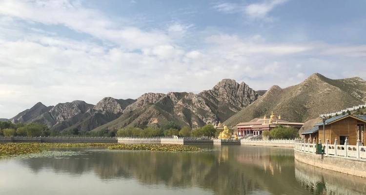 Descubrir Ningxia: mausoleo de Xia Occidental, Shapotou, ciudad antigua de Yongtai, Bosque de Piedra del río Amarillo - Silk Road Trips 1