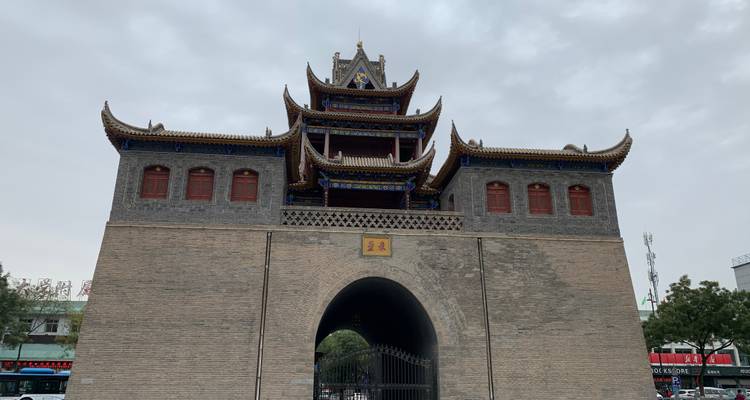 Descubrir Ningxia: mausoleo de Xia Occidental, Shapotou, ciudad antigua de Yongtai, Bosque de Piedra del río Amarillo - Silk Road Trips 6