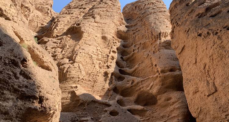 Descubrir Ningxia: mausoleo de Xia Occidental, Shapotou, ciudad antigua de Yongtai, Bosque de Piedra del río Amarillo - Silk Road Trips 9