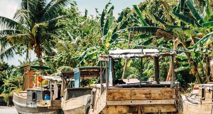 Botes de madera amarrados bajo frondosas palmeras de plátano a lo largo de un canal tropical en el Delta del Mekong.