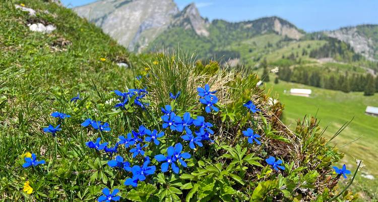 Lacs du Salzkammergut et glacier de Dachstein - Eurohike 1