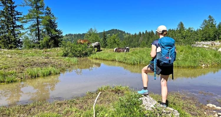 Lacs du Salzkammergut et glacier de Dachstein - Eurohike 2