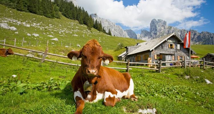 Lacs du Salzkammergut et glacier de Dachstein - Eurohike 9