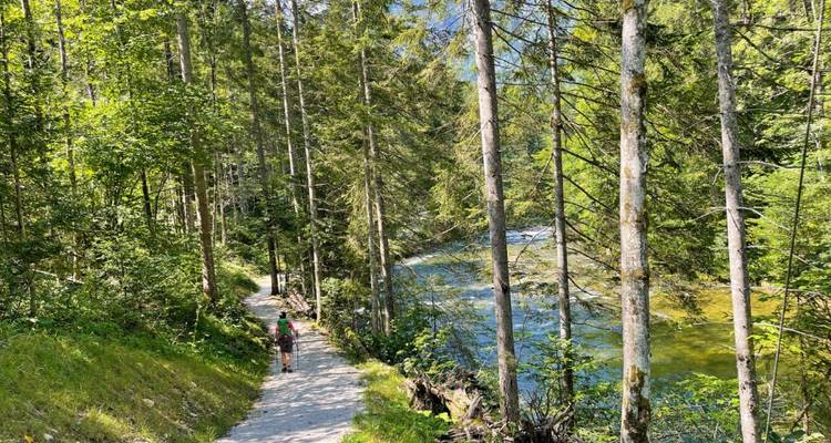 Salzkammergut Rivers & Lakes for Families - Eurohike 9