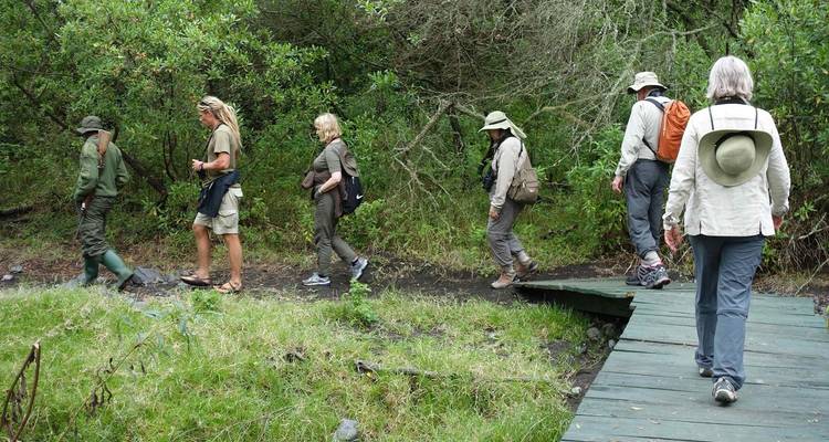Group of hikers walking through a lush forest trail.