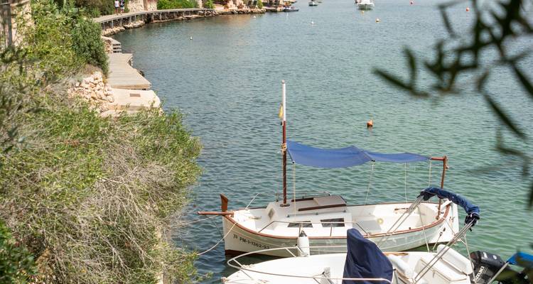 Small boats docked on a calm river with surrounding trees.