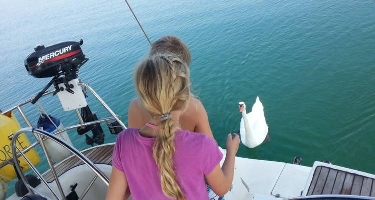Twee kinderen op een zeilboot die omgaan met een zwaan.