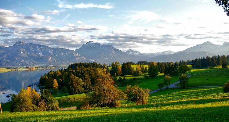 Paysage luxuriant avec un lac et un décor de montagne.