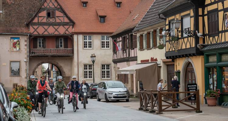 Alsace | Voyage guidé en Ebike - Terranova Touristik 6