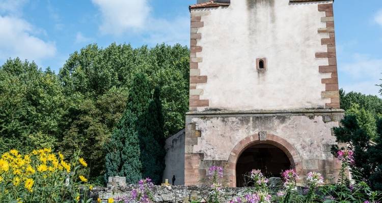 Alsace | Voyage guidé en Ebike - Terranova Touristik 7