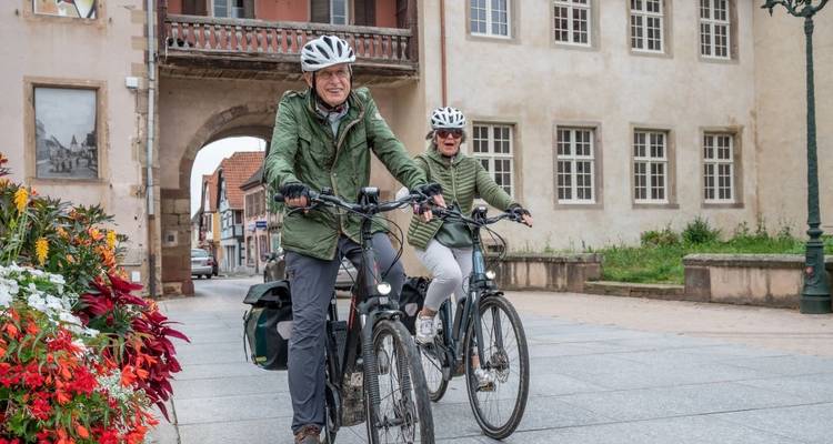 Alsace | Voyage guidé en Ebike - Terranova Touristik 8
