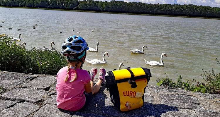 Danube Cycle Path from Linz to Vienna for Families - Eurobike 4