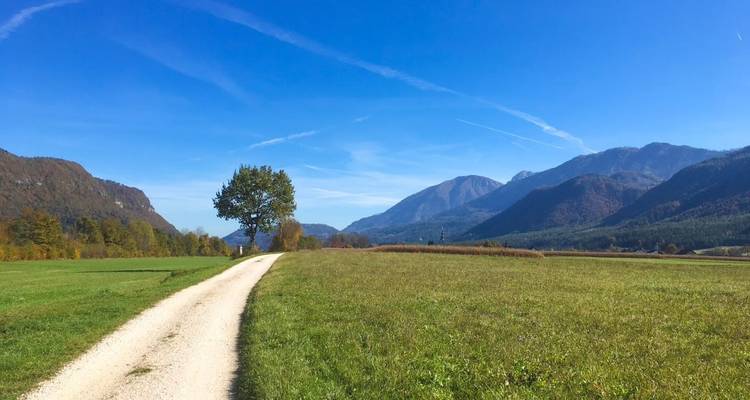 Drau-Cycle Path Sportive - Eurobike 4