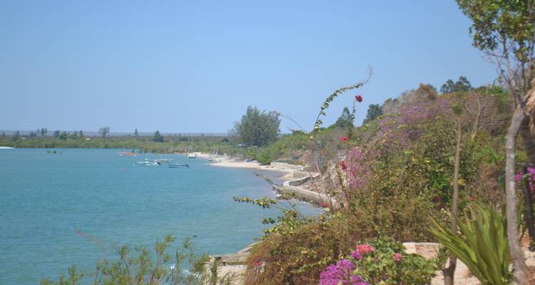 Kustgezicht met boten en vegetatie.