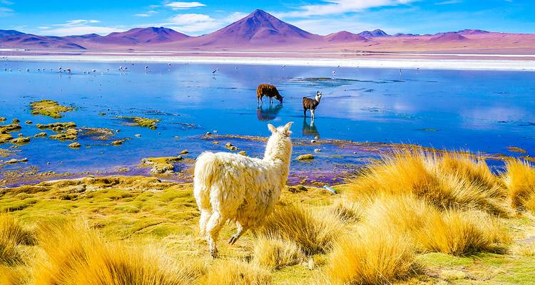 Aventura a medida en Bolivia de 7 días, salida diaria y guía privado - Agate Travel 1
