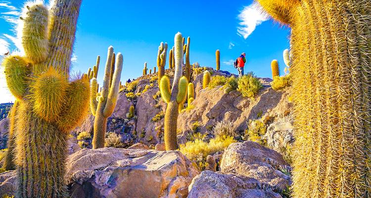 Aventura a medida en Bolivia de 7 días, salida diaria y guía privado - Agate Travel 3