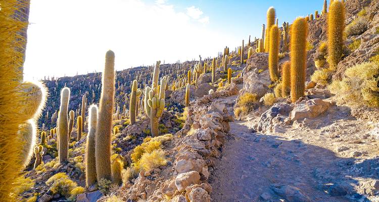 Viaje personalizado de 8 días por Bolivia - salida diaria y guía privado - Agate Travel 3