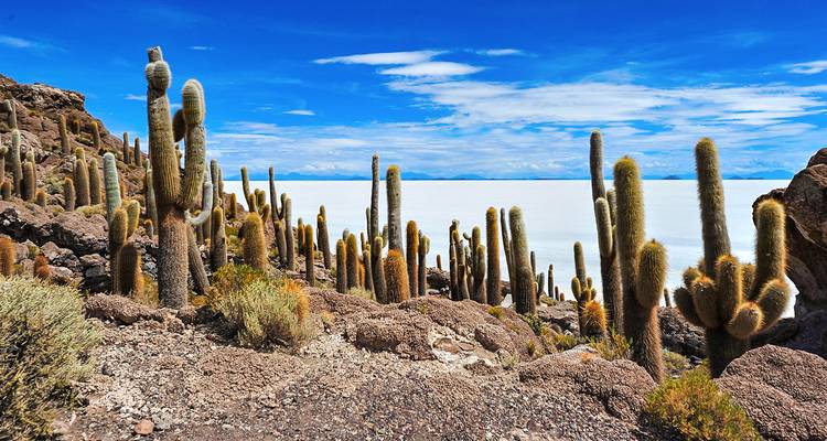 Vacaciones familiares a medida en Bolivia de 8 días, con salida diaria y guía privado - Agate Travel 2