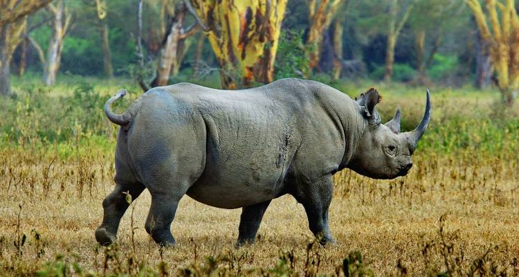 6 Days Best of Tanzania Safari. (Group Scheduled 4x4) - Seven Wonders Safaris 8
