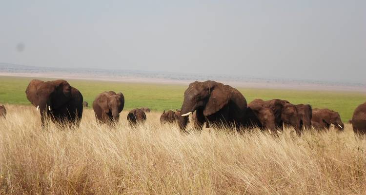 6 Days Best of Tanzania Safari. (Group Scheduled 4x4) - Seven Wonders Safaris 10