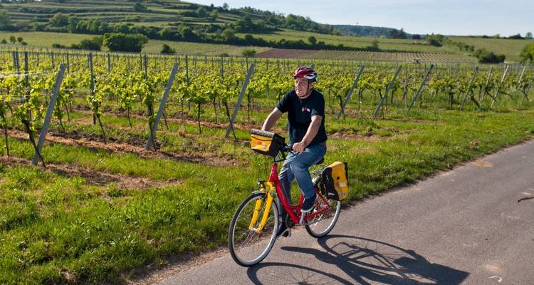 Rhine & Vines with Charm - Eurobike 3
